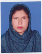 মেহেদী হুসনা